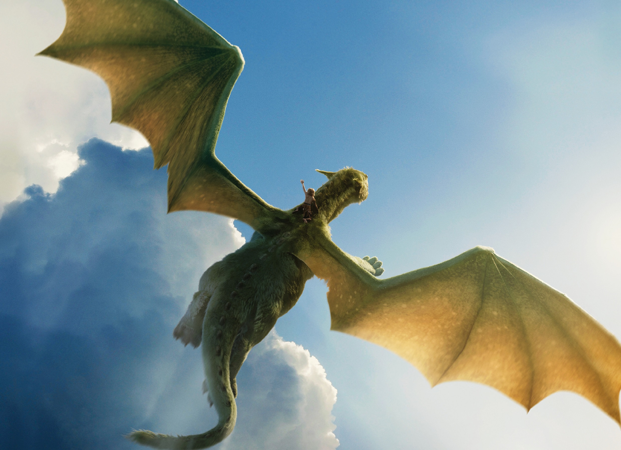 Movie Pete's Dragon (2016) HD Wallpaper | Background Image