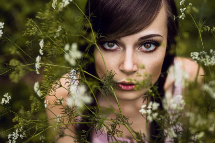 freckles brown eyes brunette model woman face HD Desktop Wallpaper | Background Image