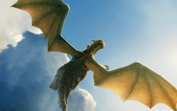 Movie Pete's Dragon (2016) Pete's Dragon Oakes Fegley Dragon Elliot HD Wallpaper | Background Image