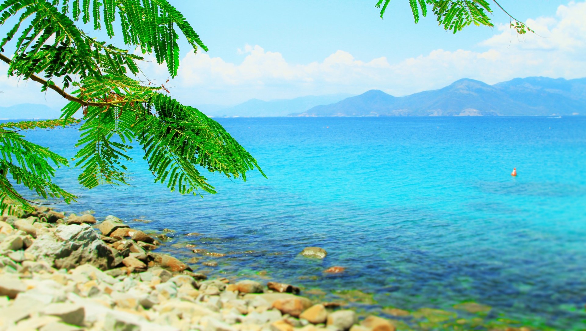 A serene coastal scene featuring a vibrant blue ocean, rocky shoreline, and lush green tree foliage, creating a harmonious blend of nature in this 4K Ultra HD wallpaper.