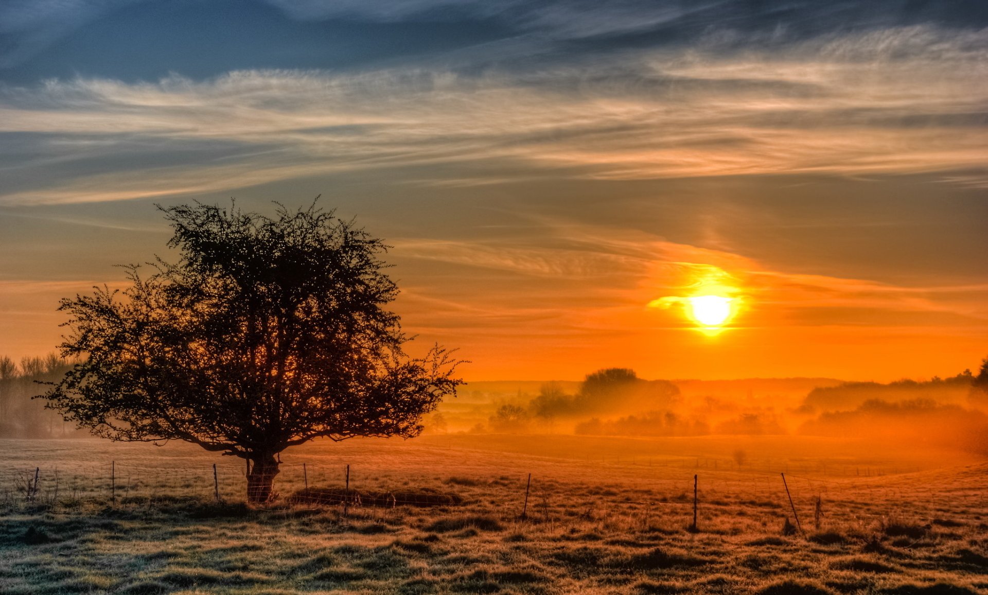 HD PC desktop wallpaper of a foggy landscape at sunrise, featuring a solitary tree in a field beneath a vibrant sky with the sun casting warm light through the mist.