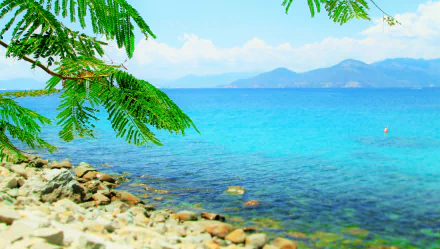 A serene coastal scene featuring a vibrant blue ocean, rocky shoreline, and lush green tree foliage, creating a harmonious blend of nature in this 4K Ultra HD wallpaper.