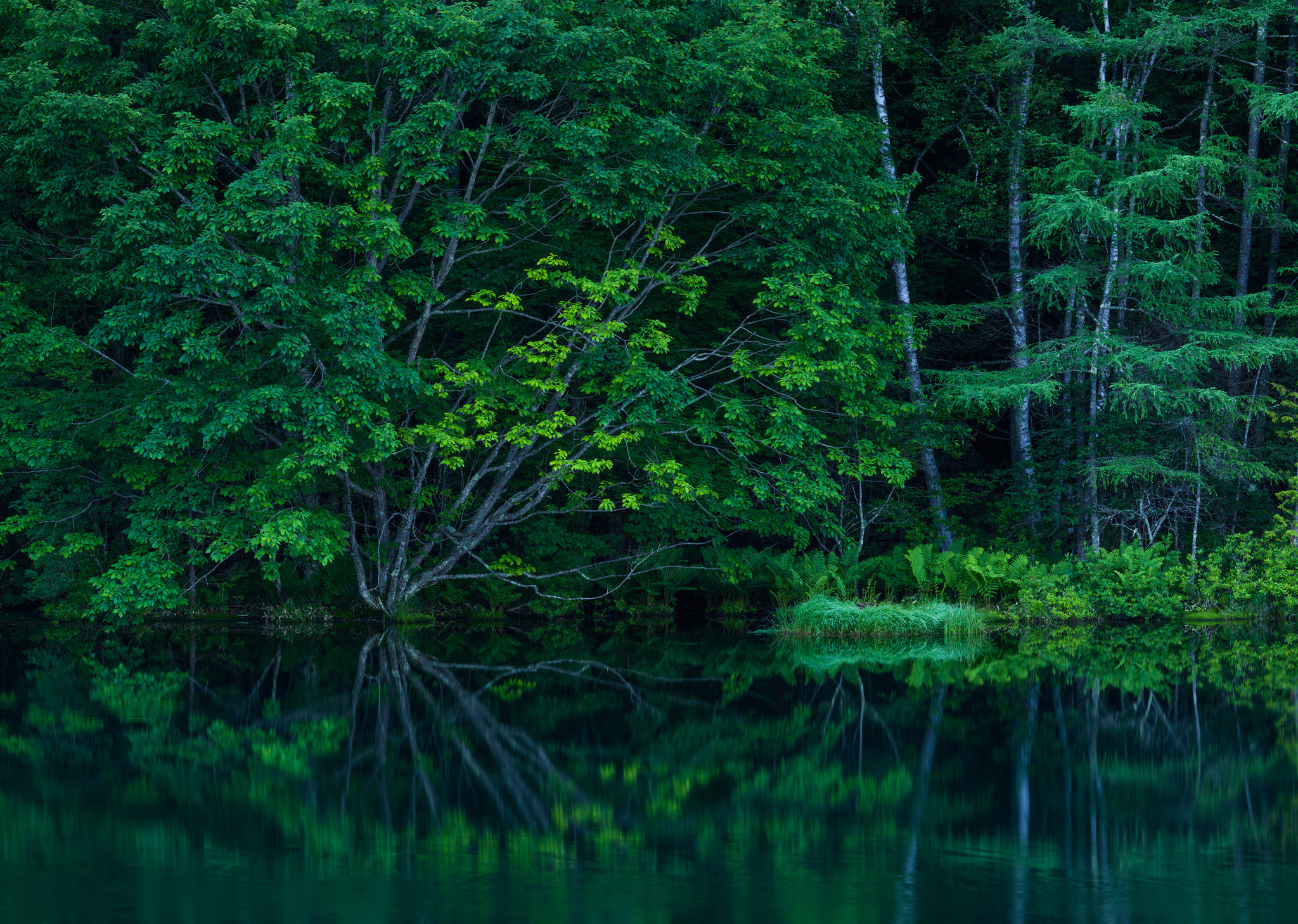 Nature Reflection HD Wallpaper