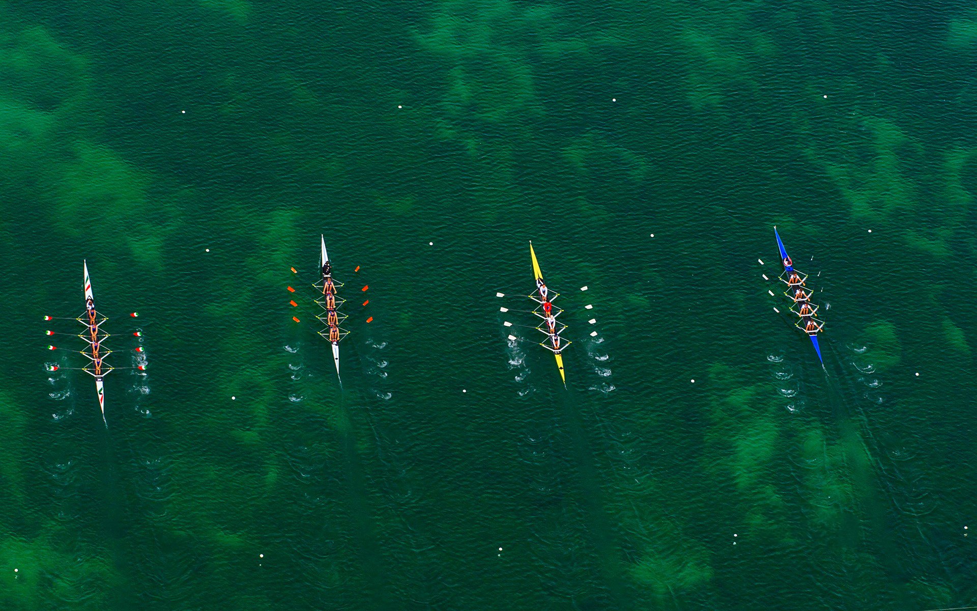 Rowing HD Wallpaper