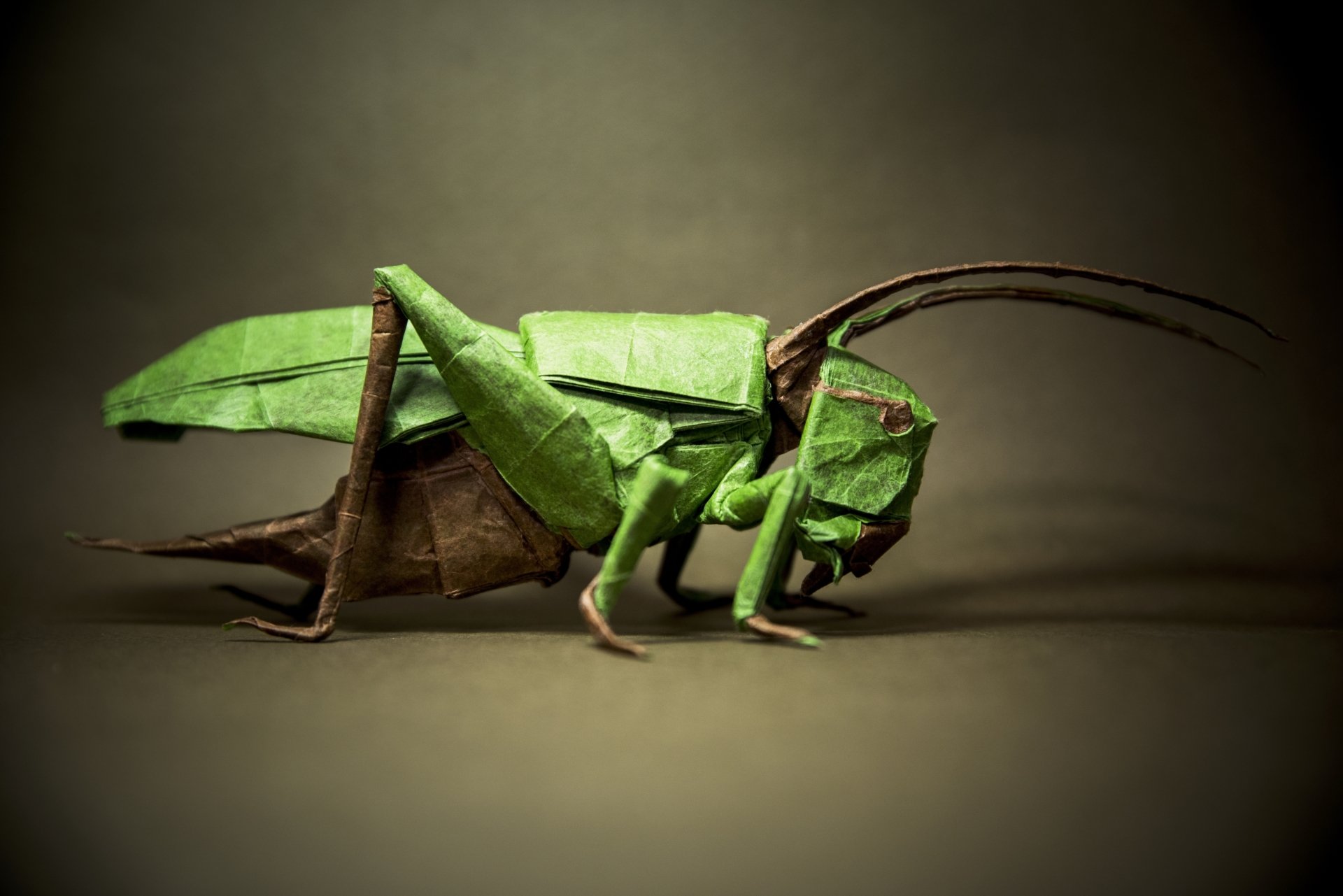 Origami grasshopper — green paper insect on a neutral backdrop, man-made artwork rendered as 4K Ultra HD PC desktop wallpaper.