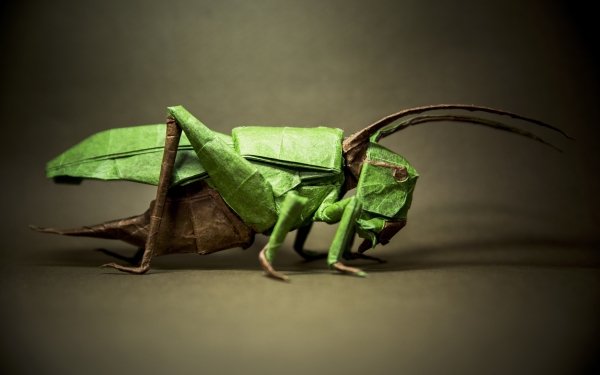 Man Made Origami Grasshopper Insect HD Wallpaper | Background Image