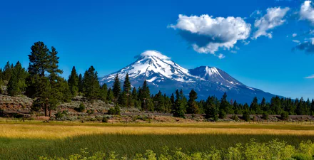 A stunning California landscape featuring a snow-capped volcano surrounded by lush greenery and trees under a bright blue sky, capturing the beauty of nature in the countryside.
