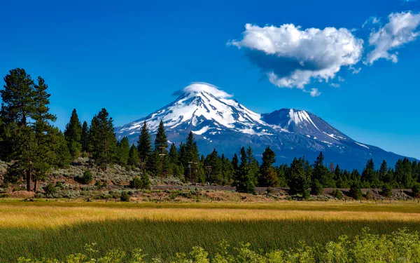 A stunning California landscape featuring a snow-capped volcano surrounded by lush greenery and trees under a bright blue sky, capturing the beauty of nature in the countryside.