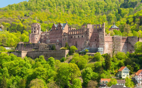  The ruins of the castle Heidelberg, Baden-Wuertenberg, Germany