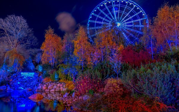 Man Made Amusement Park Amusement Parks Night Tree Colors Ferris Wheel HD Wallpaper | Background Image