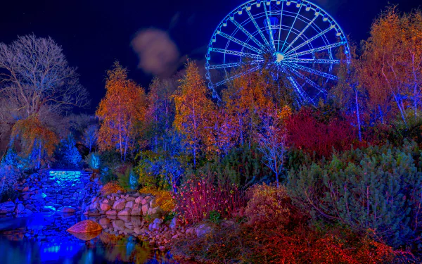  Amusement Park at Night