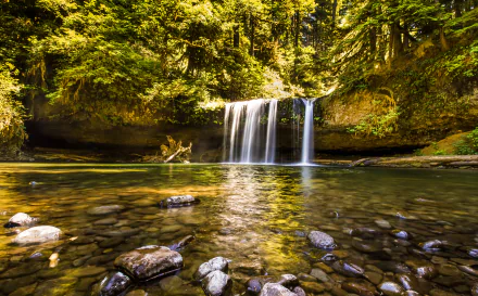 A sunny forest scene in Oregon, USA, featuring a tranquil waterfall cascading over stones into a clear pool, captured in stunning 4K Ultra HD for PC desktop wallpaper.