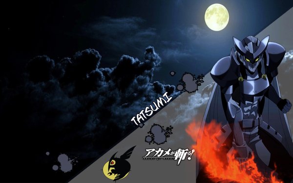 Anime Akame ga Kill! Tatsumi Fondo de pantalla HD | Fondo de Escritorio