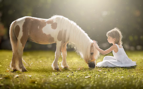 A blonde little girl in a white dress gently strokes a pony on sunny grass, captured in a 4K Ultra HD desktop wallpaper photo.