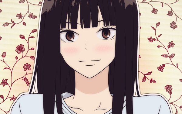 Anime Kimi Ni Todoke Sawako Kuronuma HD Wallpaper | Background Image