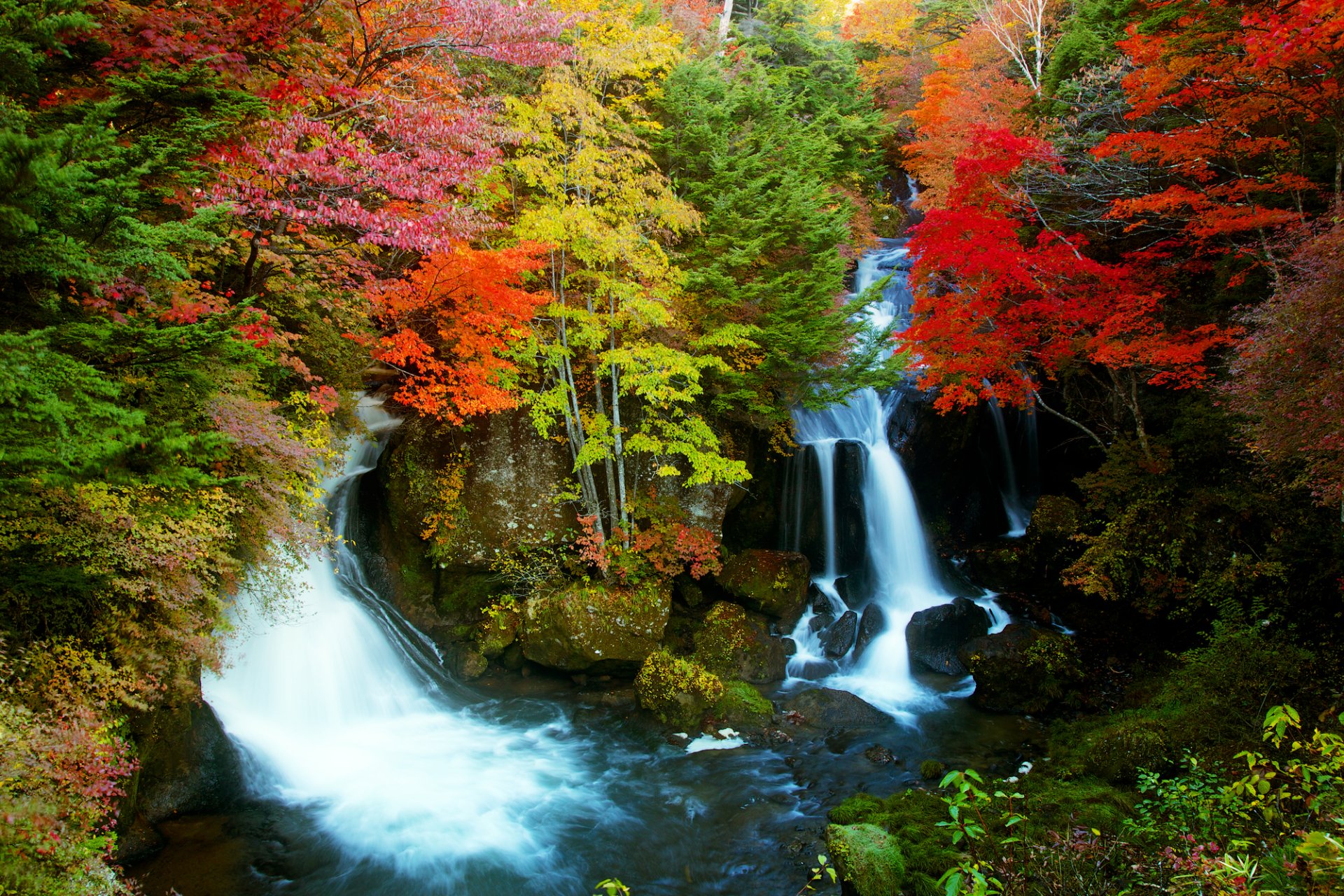 Download Forest Fall Nature Waterfall HD Wallpaper by Takahiro Urano