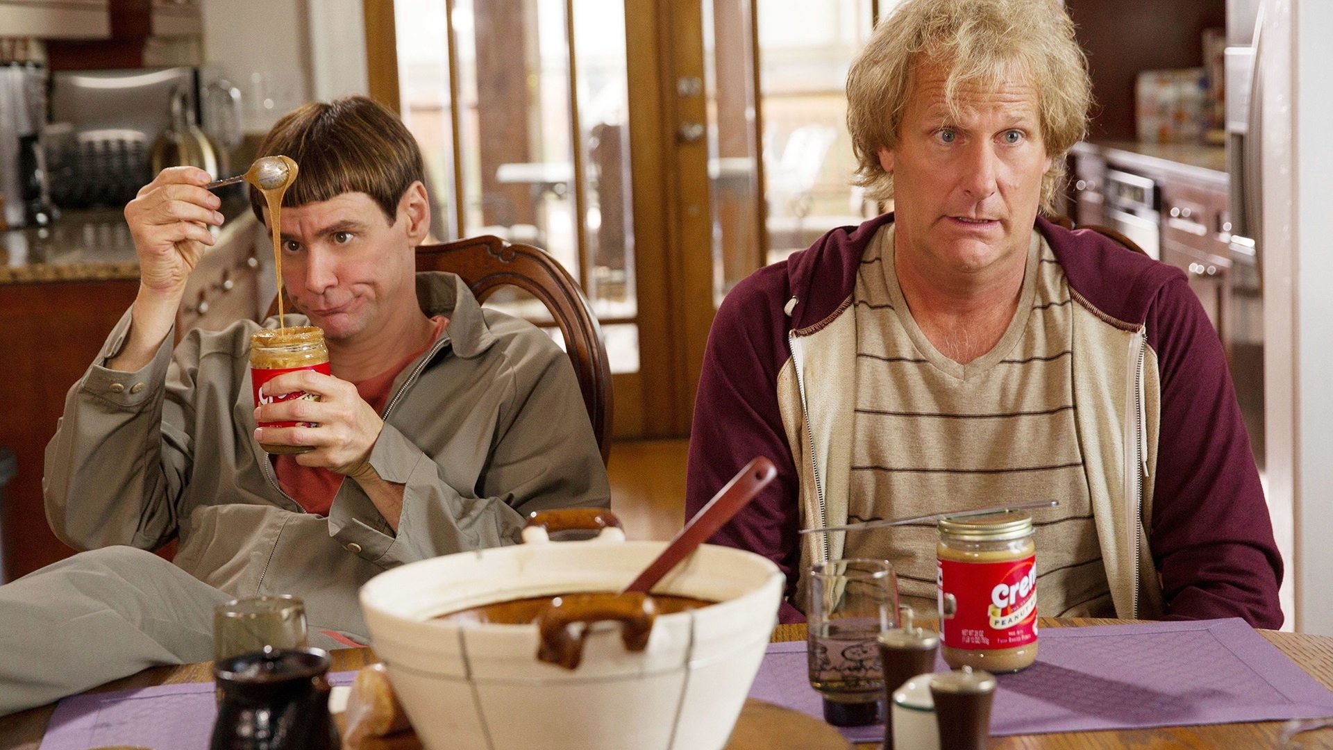 Dumb and Dumber To HD Wallpaper