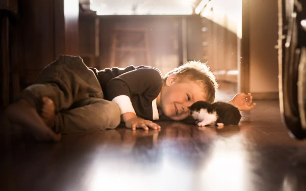 A little boy lying on the floor next to a kitten, bathed in warm sunlight, captured in an HD photography desktop wallpaper.