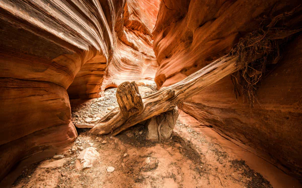nature canyon HD Desktop Wallpaper | Background Image