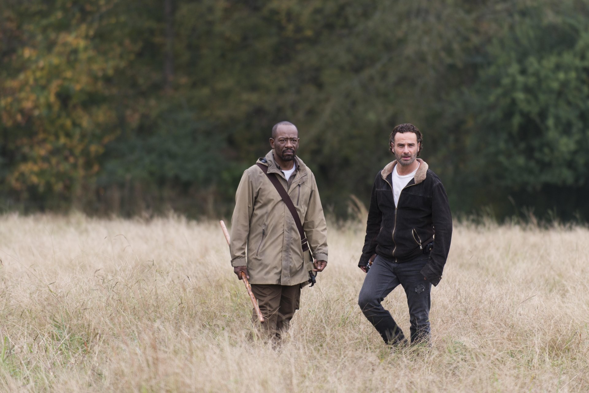 Morgan Jones and Rick Grimes from The Walking Dead walk through tall grass — 5K Ultra HD PC desktop wallpaper background.