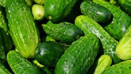 food cucumber HD Desktop Wallpaper | Background Image