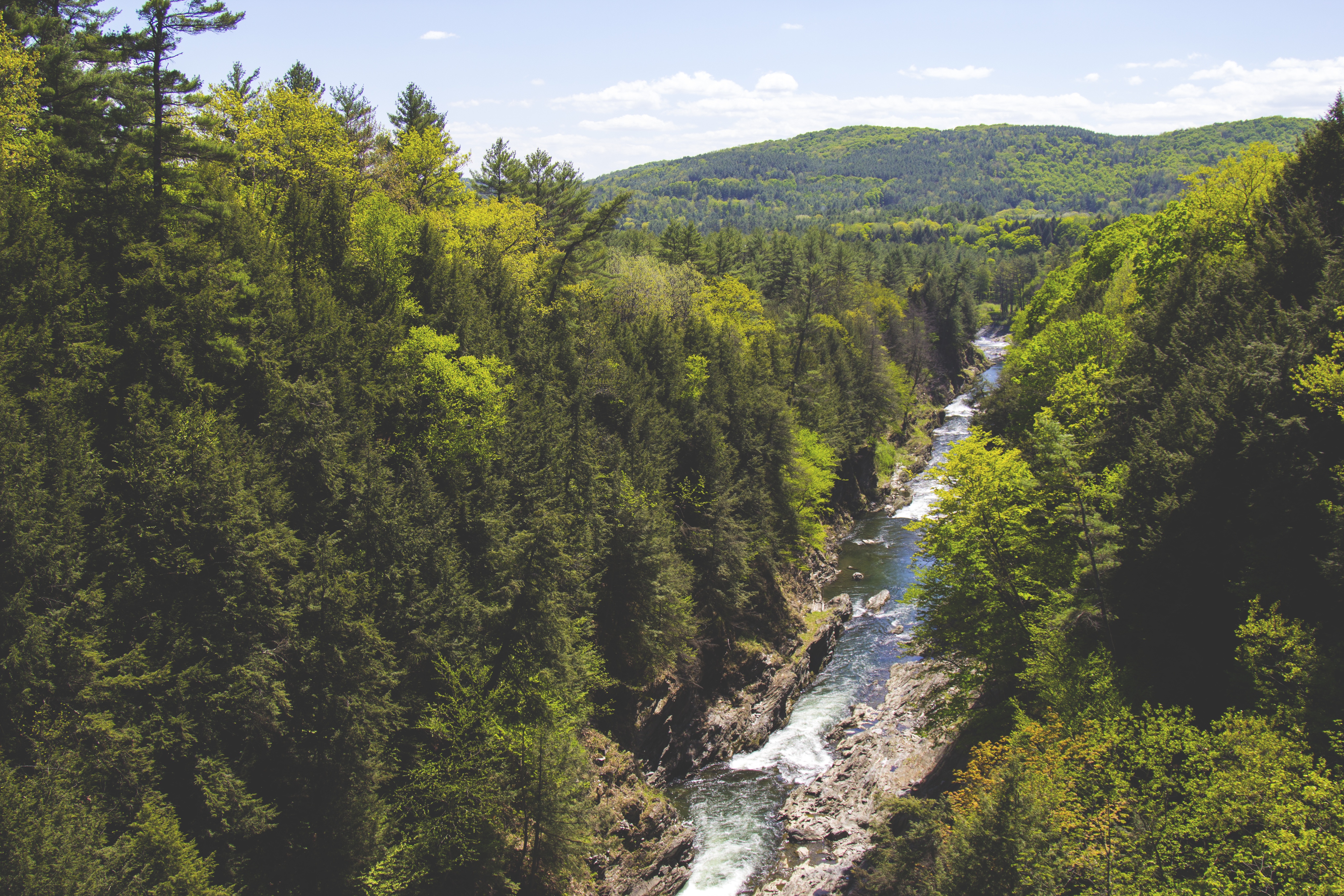 Download Landscape Forest Nature River 4k Ultra HD Wallpaper