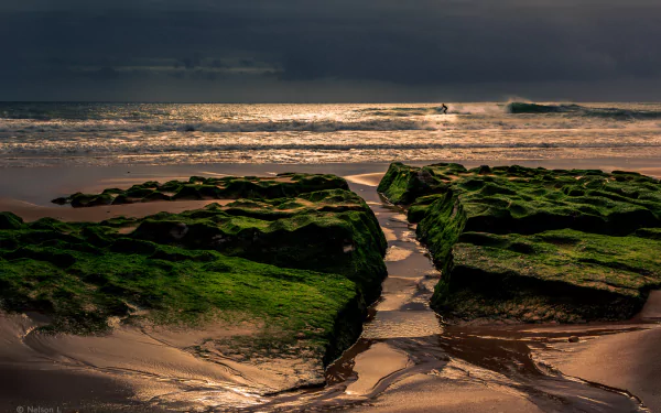  Beach in Portugal by Nelson Lourenço