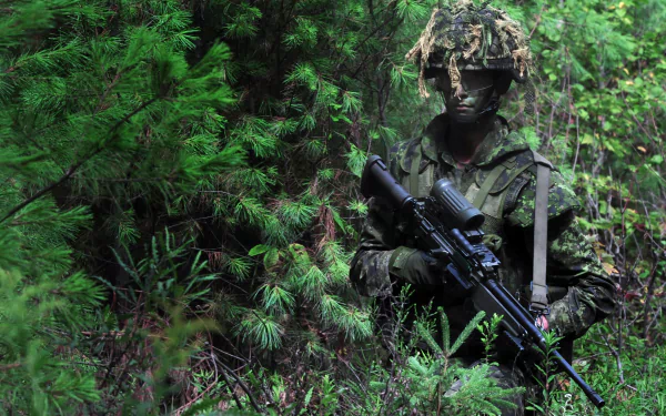A camouflaged soldier stands in a dense forest, holding a rifle, blending seamlessly into the surroundings, showcasing military readiness in a rich, green environment.