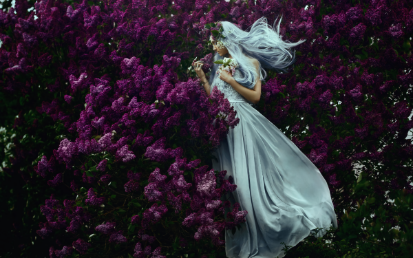 Women Mood Lilac White Hair Purple Flower White Dress HD Wallpaper | Background Image
