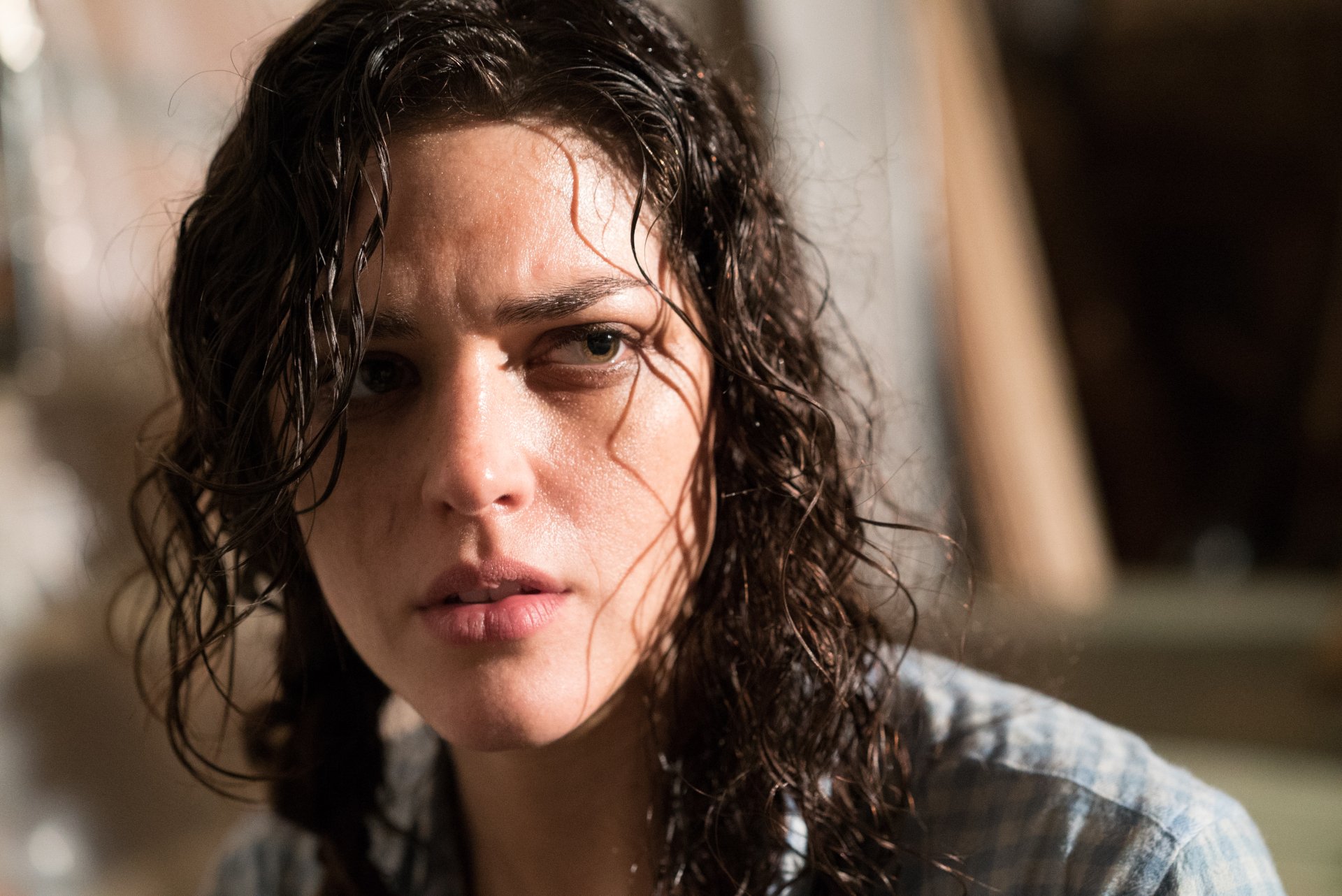 Download Movie Blair Witch 4k Ultra HD Wallpaper