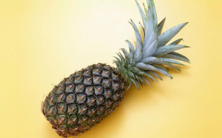 food pineapple HD Desktop Wallpaper | Background Image