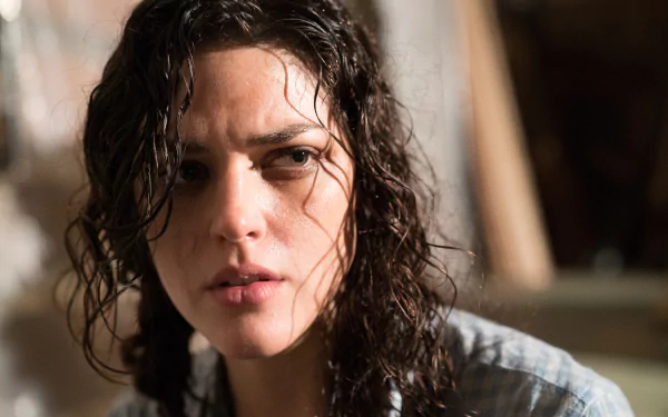 movie blair witch HD Desktop Wallpaper | Background Image