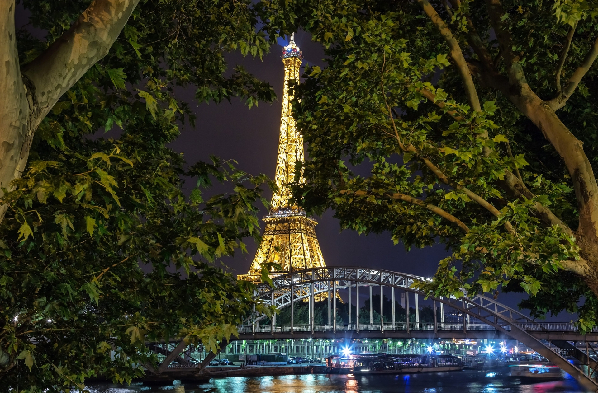 Eiffel Tower Lit up at Night