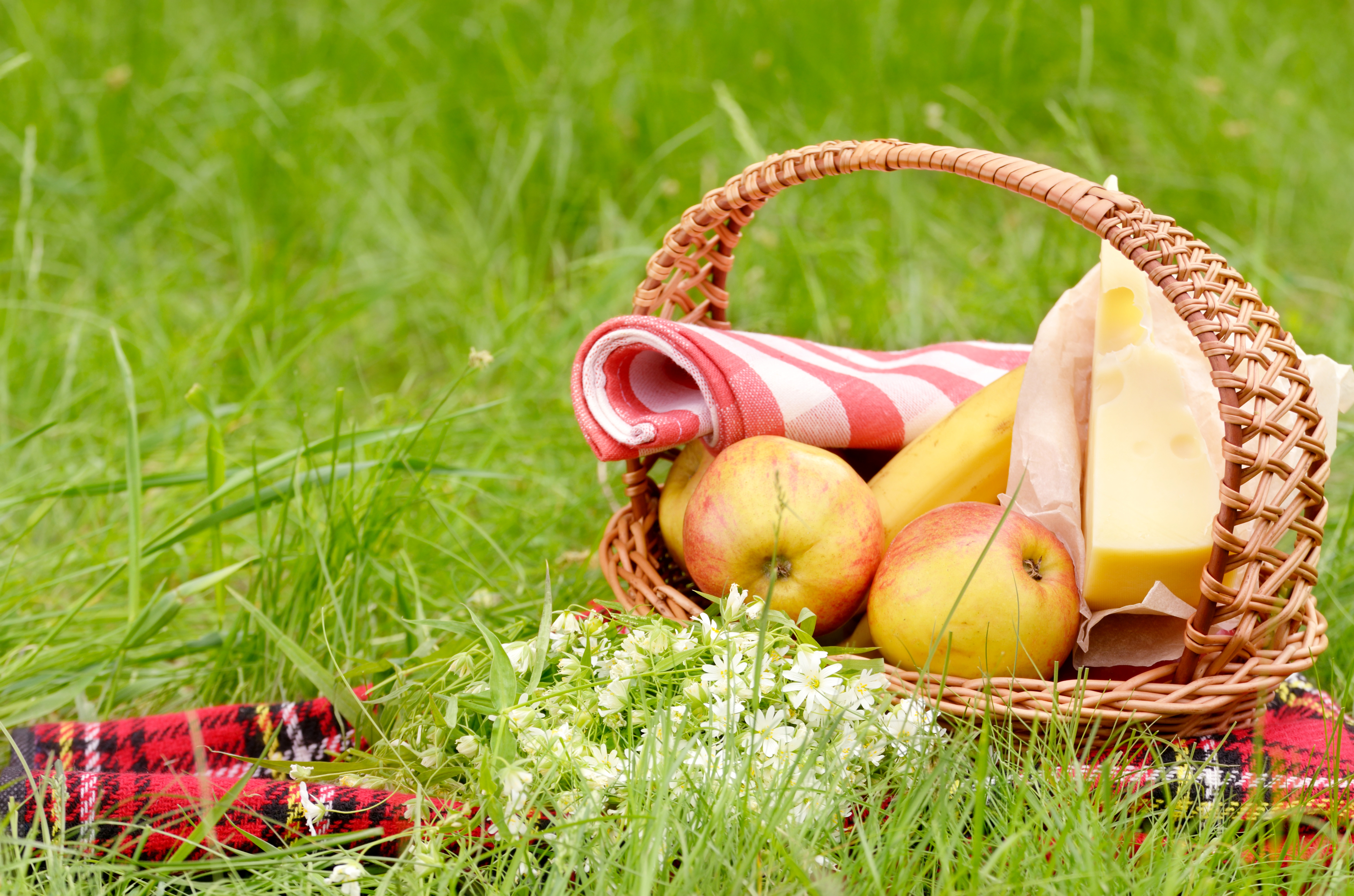 Picnic Images (HD) - Download Royalty-Free Pictures of Picnics