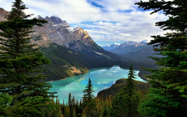  Peyto Lake in Canada
