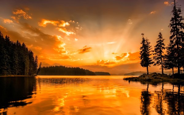 Earth Sunset Lake Silhouette Tree Sky orange HD Wallpaper | Background Image