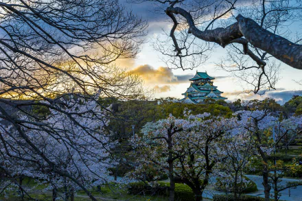 park Japan castle man made Osaka Castle HD Desktop Wallpaper | Background Image