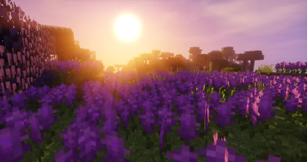 Minecraft HD desktop wallpaper capturing a vibrant sunset over a lush field of purple flowers in the video game’s blocky world.