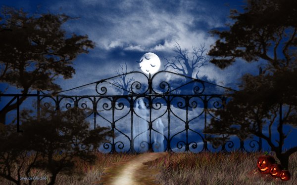 Holiday Halloween Moon Night Gate Jack-O'-Lantern HD Wallpaper | Background Image
