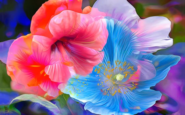 Artistic Flower Flowers Painting Hibiscus Poppy Anemone Colors HD Wallpaper | Background Image