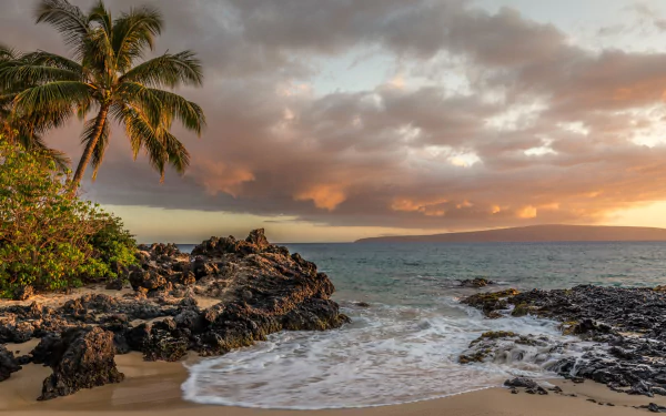 HD desktop wallpaper showcasing a serene Hawaiian beach with palm trees, rocky shores, ocean waves, and dramatic clouds at sunset.