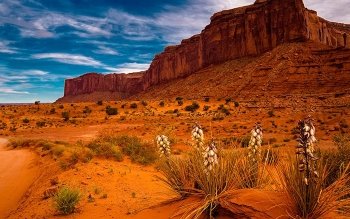 107 Arizona Hd Wallpapers Background Images Wallpaper Abyss Page 3