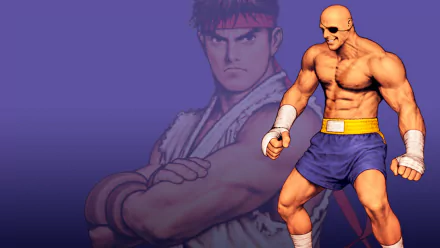 video game Capcom vs. SNK 2 EO HD Desktop Wallpaper | Background Image