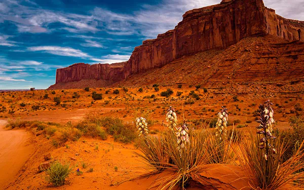  Desert in Sedona, Arizona