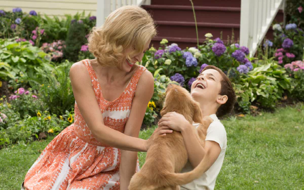 movie A Dog's Purpose HD Desktop Wallpaper | Background Image