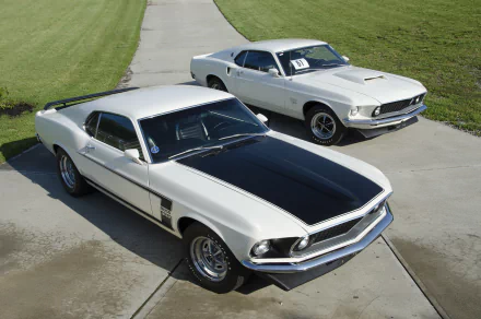 HD desktop wallpaper of two white 1969 Ford Mustang Boss muscle cars, one a Ford Mustang Boss 429, parked on a sunlit driveway.