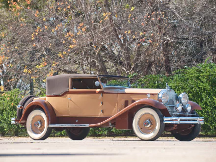 Side view of a brown 1931 Packard Deluxe Eight Convertible Victoria vintage car parked by trees, HD PC desktop wallpaper background.