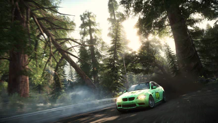 5K Ultra HD PC desktop wallpaper/background from the video game Need For Speed: Rivals — green race car drifting down a sunlit forest road, tire smoke curling among tall trees.
