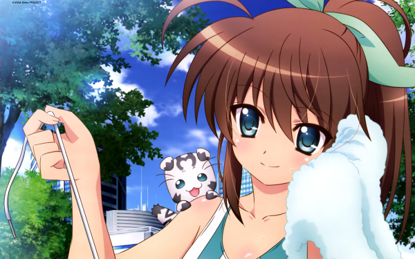 Anime ViVid Strike! HD Wallpaper | Background Image