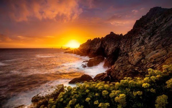 Earth Coastline Coast Ocean Sea Flower Sunset Horizon HD Wallpaper | Background Image